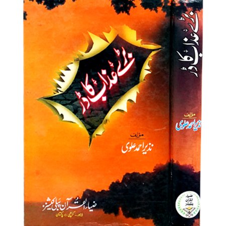 Baray Azab Ka Dar / Nazeer Ahmed Alvi