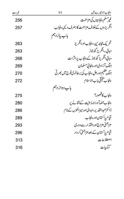 Punjab Andhery Main/ Amjad Nawaz Warraich